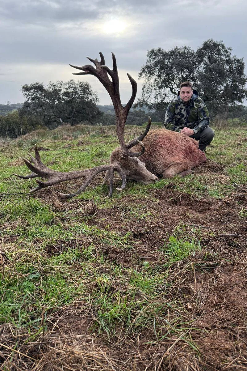 rececho-venado-nuevo-1