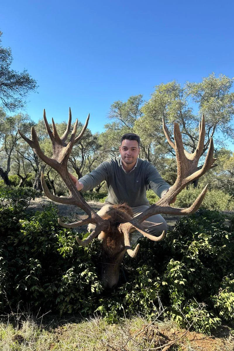 rececho-venado-nuevo-3