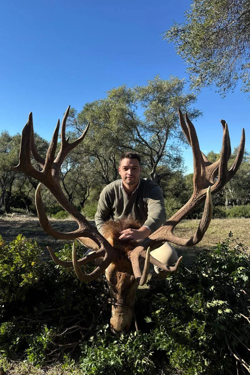 rececho-venado-nuevo-4